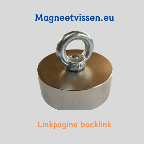 Lees meer over het artikel Linkpagina backlink Magneetvissen